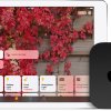 Apple homekit hero