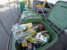 Shameful Waste of Food
