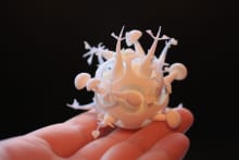 Edible Growth Nylon Demo