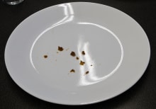 Kenmore 14823—Meat Stain
