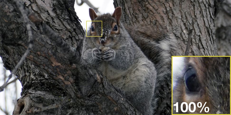 Panasonic ZS60 Sample - Zoomed