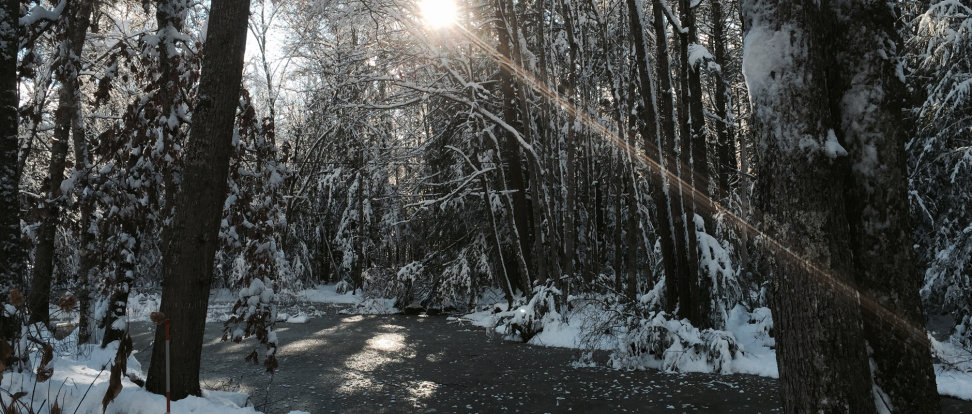 apple-iphone-6-review-sample-snow.jpg
