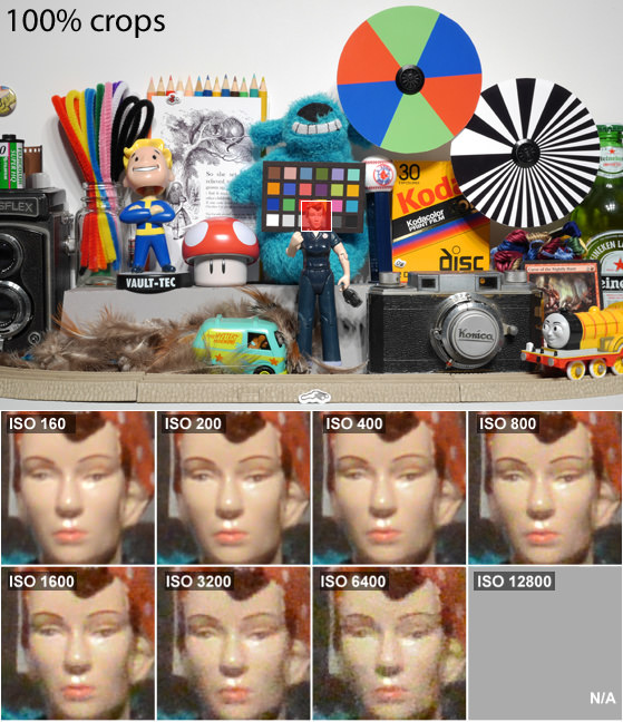 DCI-SCIENCE-PAGE-ROSIE.jpg