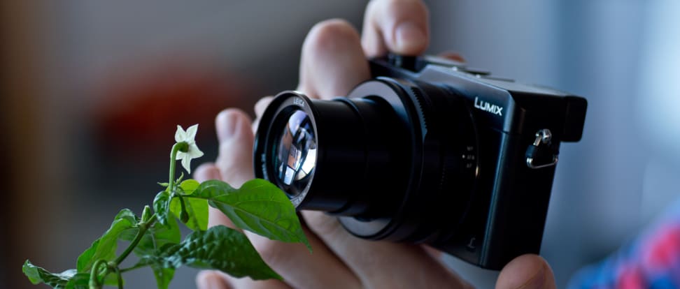panasonic-lumix-lx1000-review-wide-macro.jpg