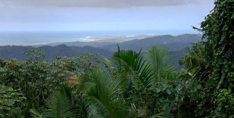 Eastern-Caribbean-460.jpg