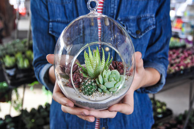 Succulent-Terrarium-9.jpg