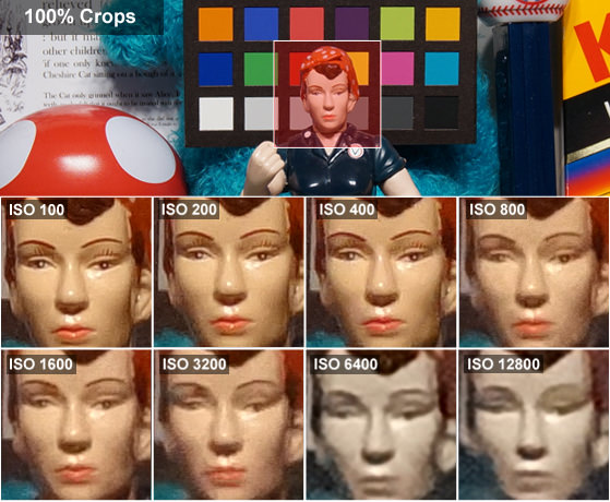 DCI-ROSIE-CROPS-SONY_DSC-WX80.jpg