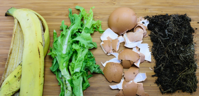 Things you can compost