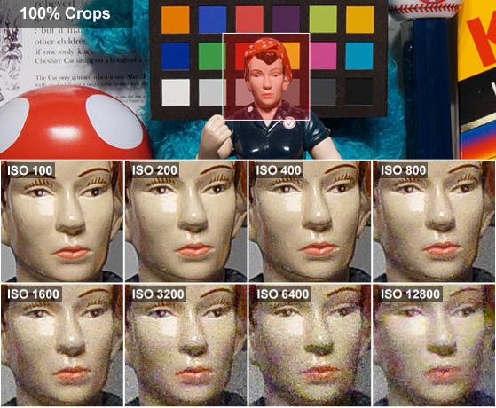 Rosie Crops