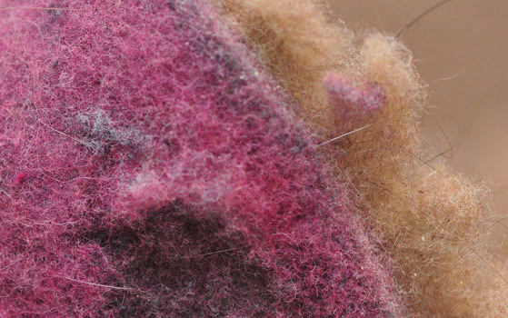 lint2_cropped.jpg