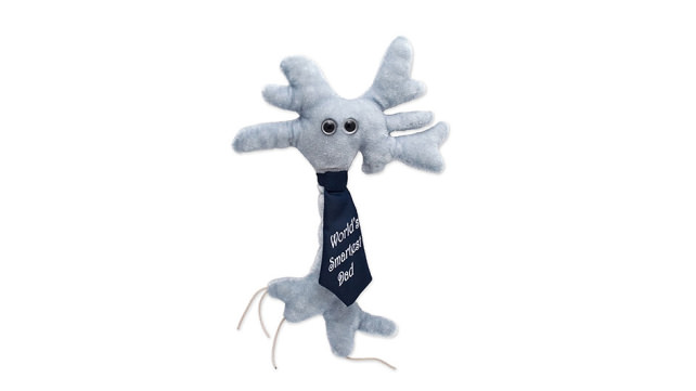 Brain Cell