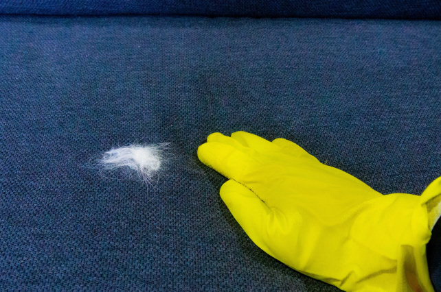 Rubber Glove