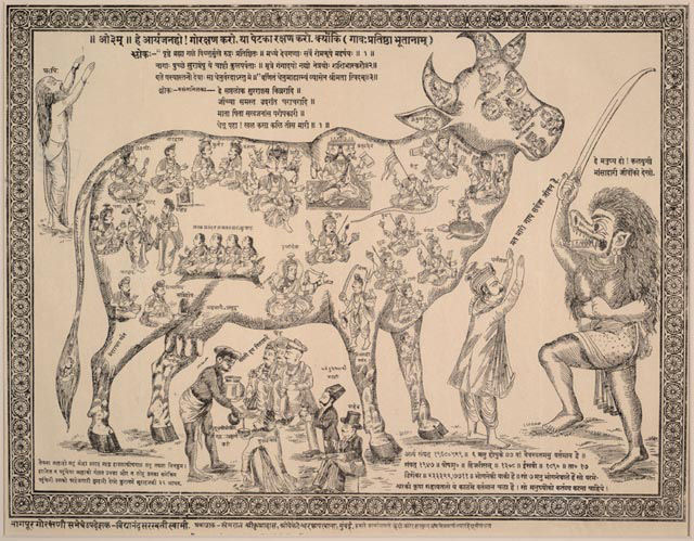 The Divine Cow