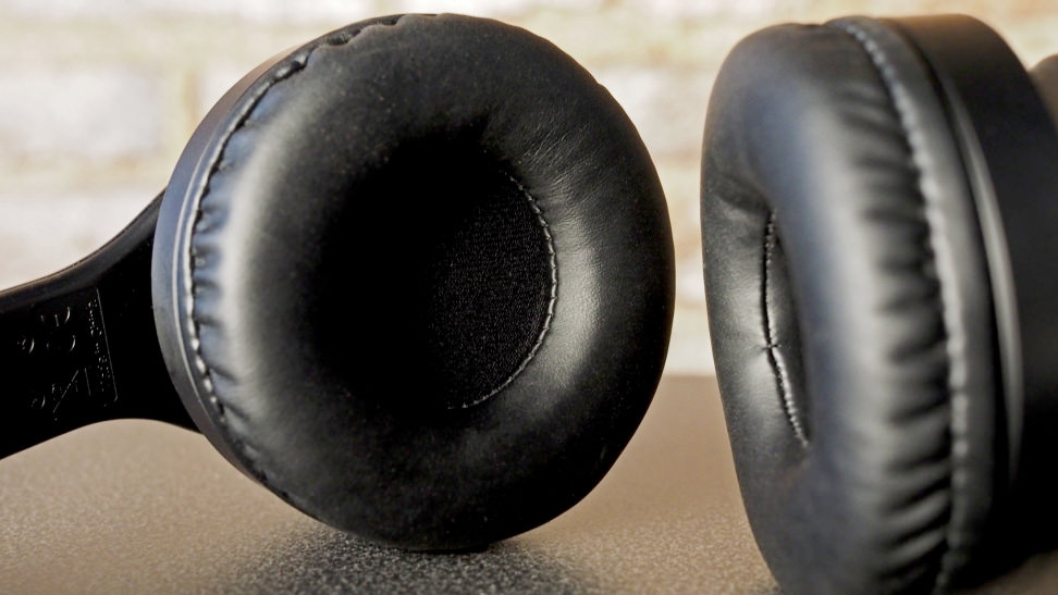JVC XX Elation - Earcups