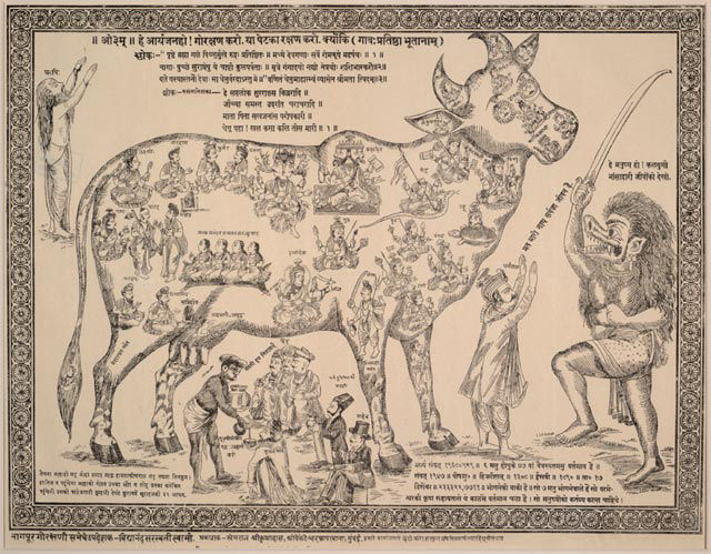 The Divine Cow