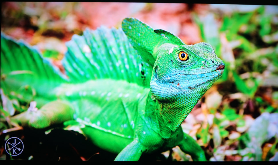 Samsung-JS7000-Color