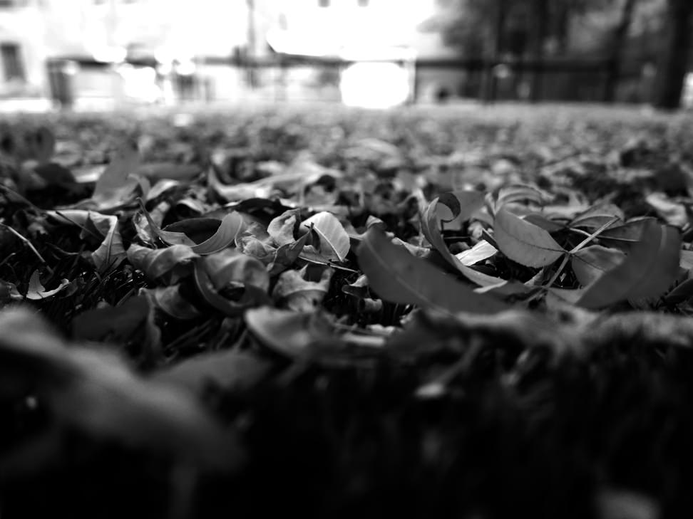 PANASONIC-LX100-SAMPLE-01.jpg