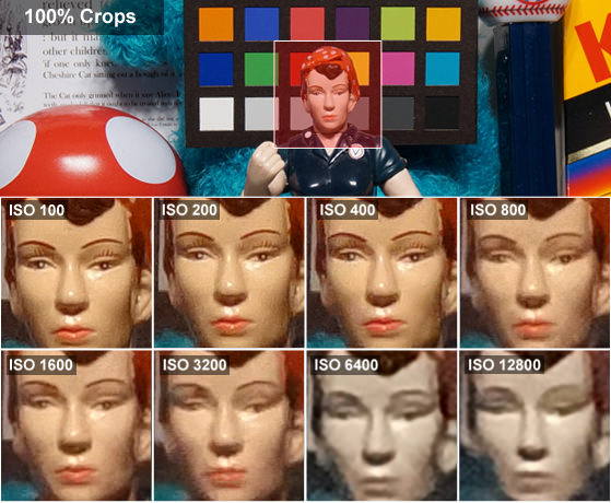 DCI-ROSIE-CROPS-SONY_DSC-WX80.jpg