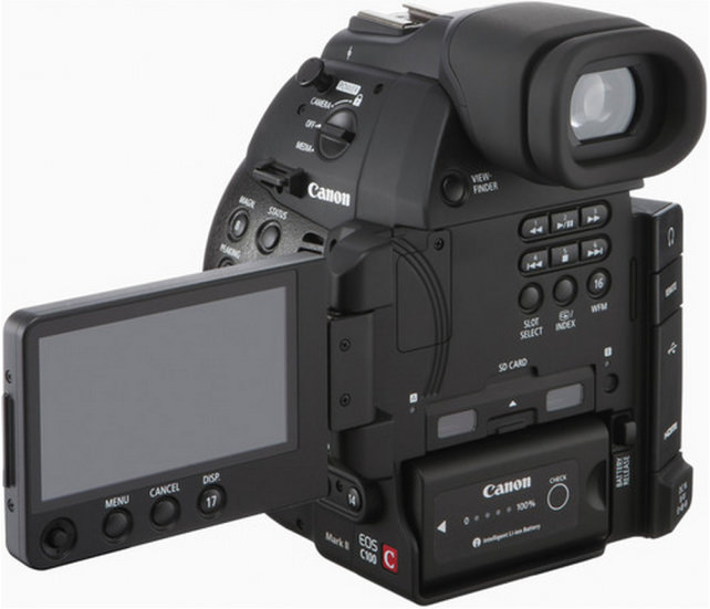 eos100back