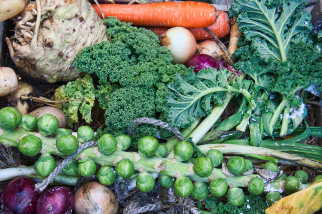 Fresh Vegetables