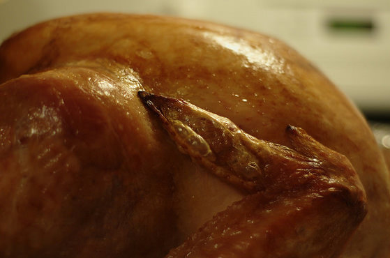 inline turkey.jpg