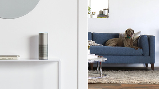 Amazon Echo Plus in Silver