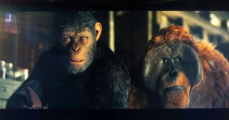 MU9000-Apes-3