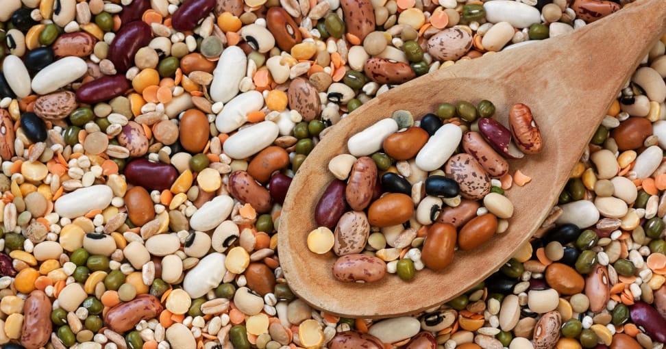 Legumes