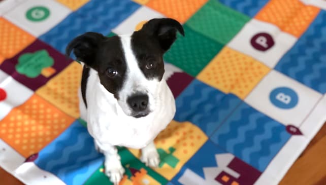 cubetto4