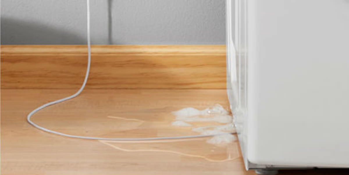 Honeywell Lyric WiFi Water Leak and Freeze Detector