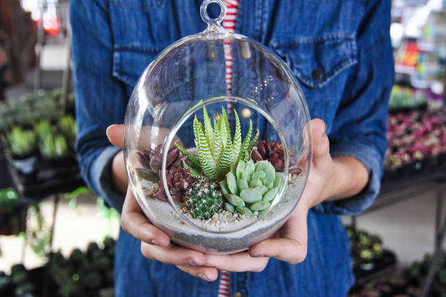 Succulent-Terrarium-9.jpg