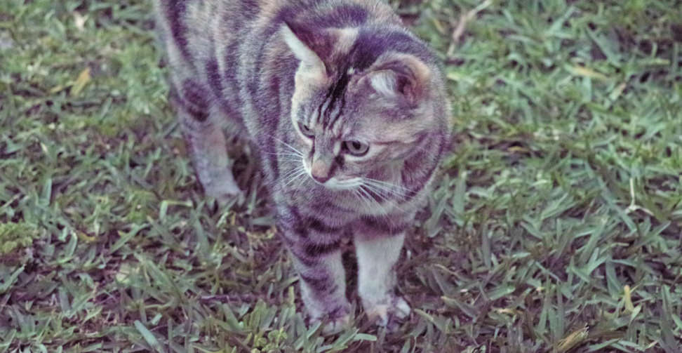 ISO1600Sample.jpg