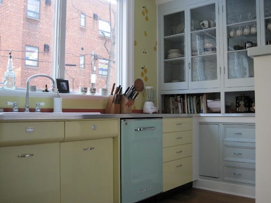 blue dishwasher
