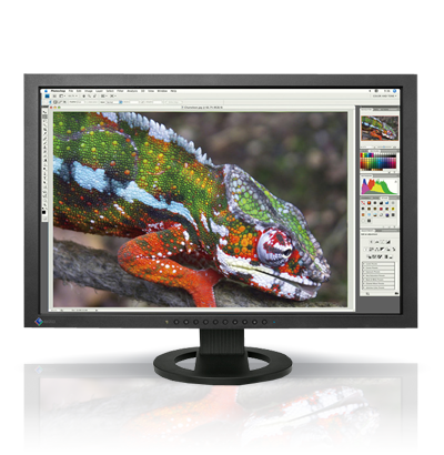 Product Image - Eizo ColorEdge CG243W