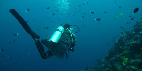 Diving-in-the-Bahamas.jpg