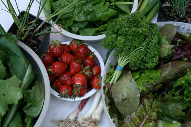 Fruits and veggies
