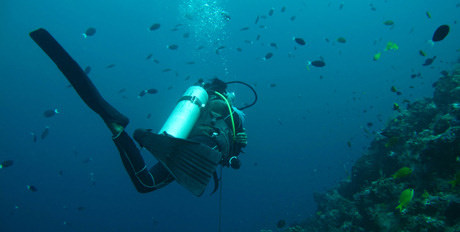 Diving-in-the-Bahamas.jpg